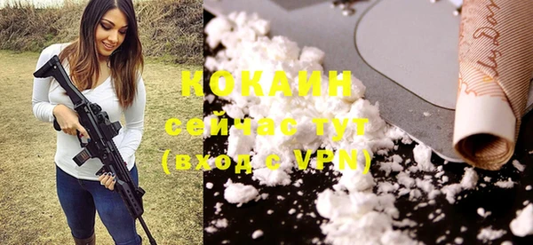 круглые Аркадак