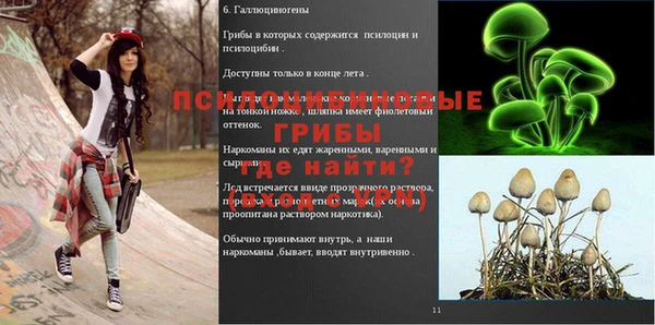 круглые Аркадак