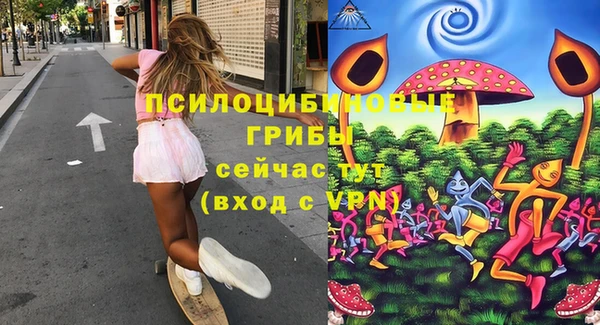 первитин Армянск